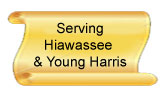 Serving Hiawassee and Young Harris